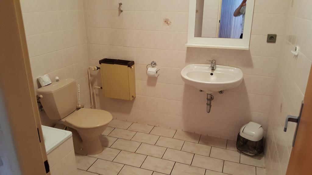 Pension U Dubu Františkovy Lázně Exterior foto
